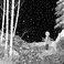 The First Snow (CDS) Mp3