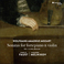 Mozart: Sonatas For Fortepiano And Violin Mp3