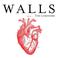 Walls (CDS) Mp3