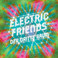 Electric Friends Mp3