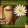 The Best Of Healing Ragas Mp3
