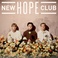 New Hope Club Mp3