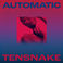 Automatic (Extended Mix) (CDS) Mp3