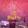Life & Times Of Bigfly (With Fly Anakin) Mp3