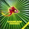 Chameleon CD2 Mp3