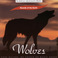 Wolves (CDS) Mp3