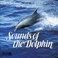 Sounds Of The Dolphin Mp3