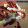 Trombirds (Vinyl) Mp3