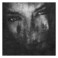 The Ashes Of Light Mp3