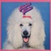 Fabulous Poodles (Vinyl) Mp3