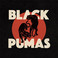 Black Pumas (Deluxe Edition) CD1 Mp3