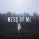 Mess Of Me (CDS) Mp3