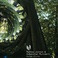 Pollen 4 Life (With Sebastian Mullaert) (EP) (Vinyl) Mp3