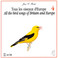 All The Bird Songs Of Britain & Europe CD4 Mp3