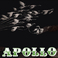 Apollo (Vinyl) Mp3