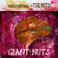 Giant Nuts (With The Nuts) Mp3