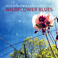 Wildflower Blues (With Samantha Parton) Mp3
