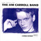Best Of The Jim Carroll Band: A World Without Gravity Mp3