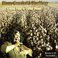 Cotton Field To Coffee House (With Blue Mercy) CD2 Mp3