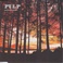 Sunrise & The Trees (CDS) Mp3