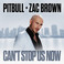 Can't Stop Us Now (Feat. Zac Brown) (CDS) Mp3
