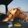 Coast (Feat. Anderson .Paak) (CDS) Mp3