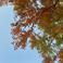 Gradual Transition Mp3