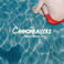 Colony House - The Cannonballers Mp3