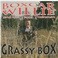 Grassy Box Mp3
