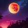 Blood Moon (With Shane Morris) Mp3