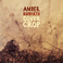 Cover Crop Mp3