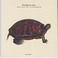 Song For Tracy The Turtle: Live At Jazz Brugge 2004 Mp3