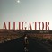 Alligator Mp3