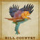 Hill Country Mp3