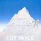 Cut In Ice (Vinyl) Mp3