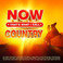 The Bellamy Brothers - Now That's What I Call Country CD3 Mp3