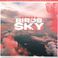 Birds In The Sky (CDS) Mp3