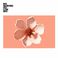 Love Will Tear Us Apart (CDS) Mp3