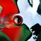 Birth4000 (EP) Mp3