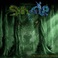 The Voice Of The Forest Mp3