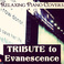Tribute To Evanescence Mp3