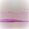 Indigo Sunset Mp3