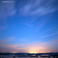 Sea Of Life Mp3