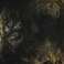 Phrenesis Mp3