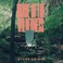 Grace In The Wilderness Mp3
