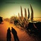 Analogue Creatures Living On An Island Mp3