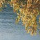 How To Transform Into Complete & Total Silence Mp3
