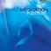 Whale Meditation Mp3