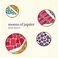 Moons Of Jupiter Mp3