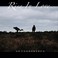 Rise In Love Mp3